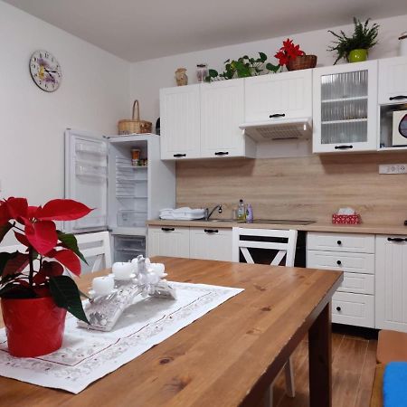 Apartman Pod Bozim Darem Jáchymov Kültér fotó