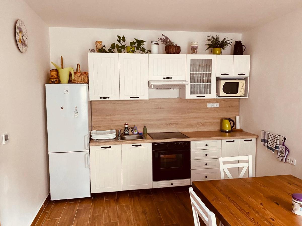 Apartman Pod Bozim Darem Jáchymov Kültér fotó